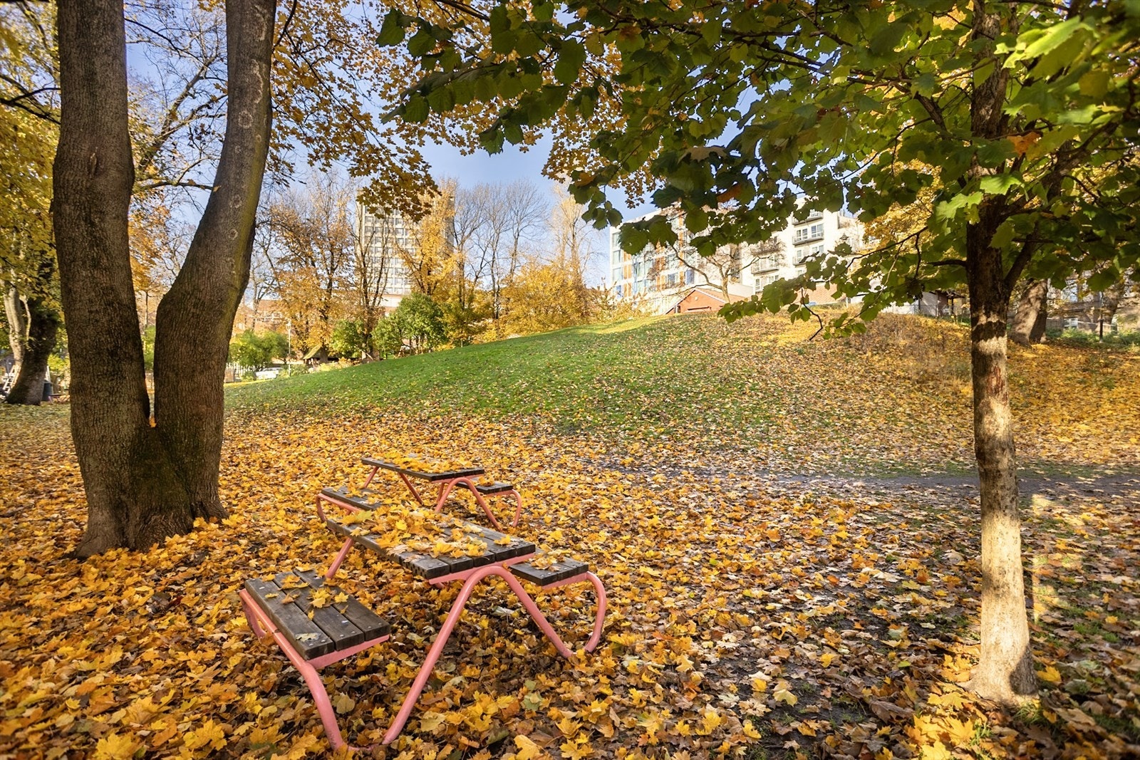 Ankerhagen, den lille parken mellom Bervens løkke og Scandic Solli, ligger kun 1 min. gange fra eiendommen Galleribilde