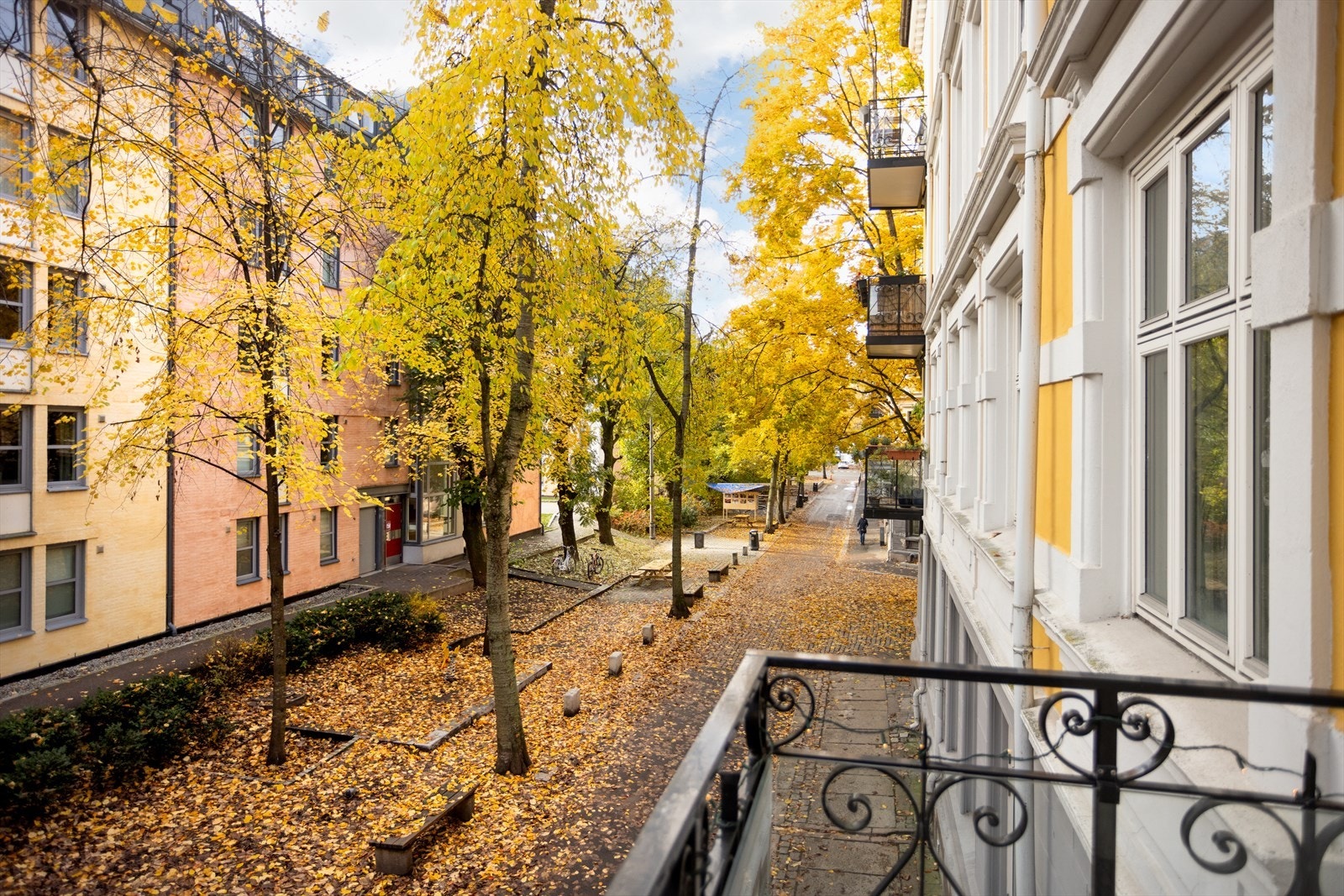 Utsikt mot de mange kirsebærtrærne i Lassons gate Galleribilde