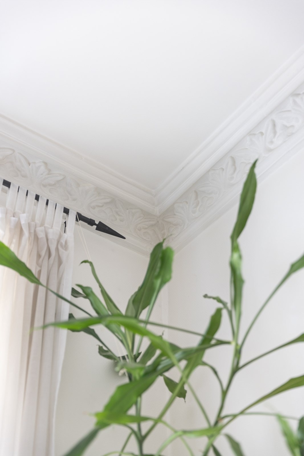 Detalje, stukkatur Galleribilde