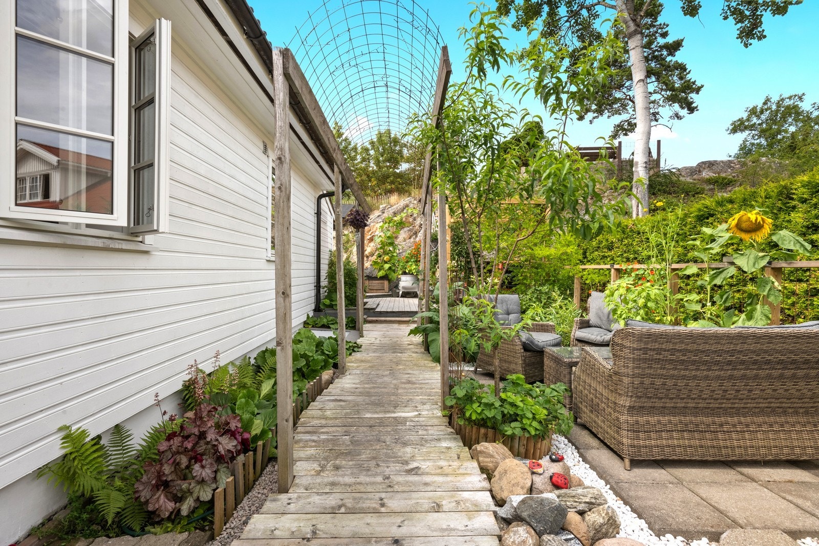 Grønne omgivelser Galleribilde