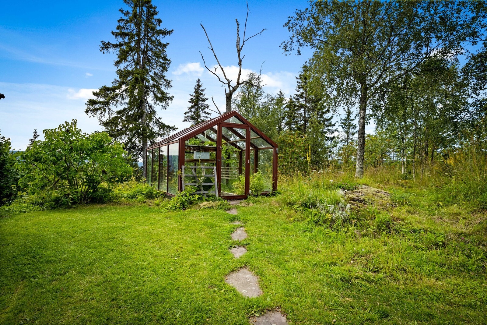 Drivhus Galleribilde