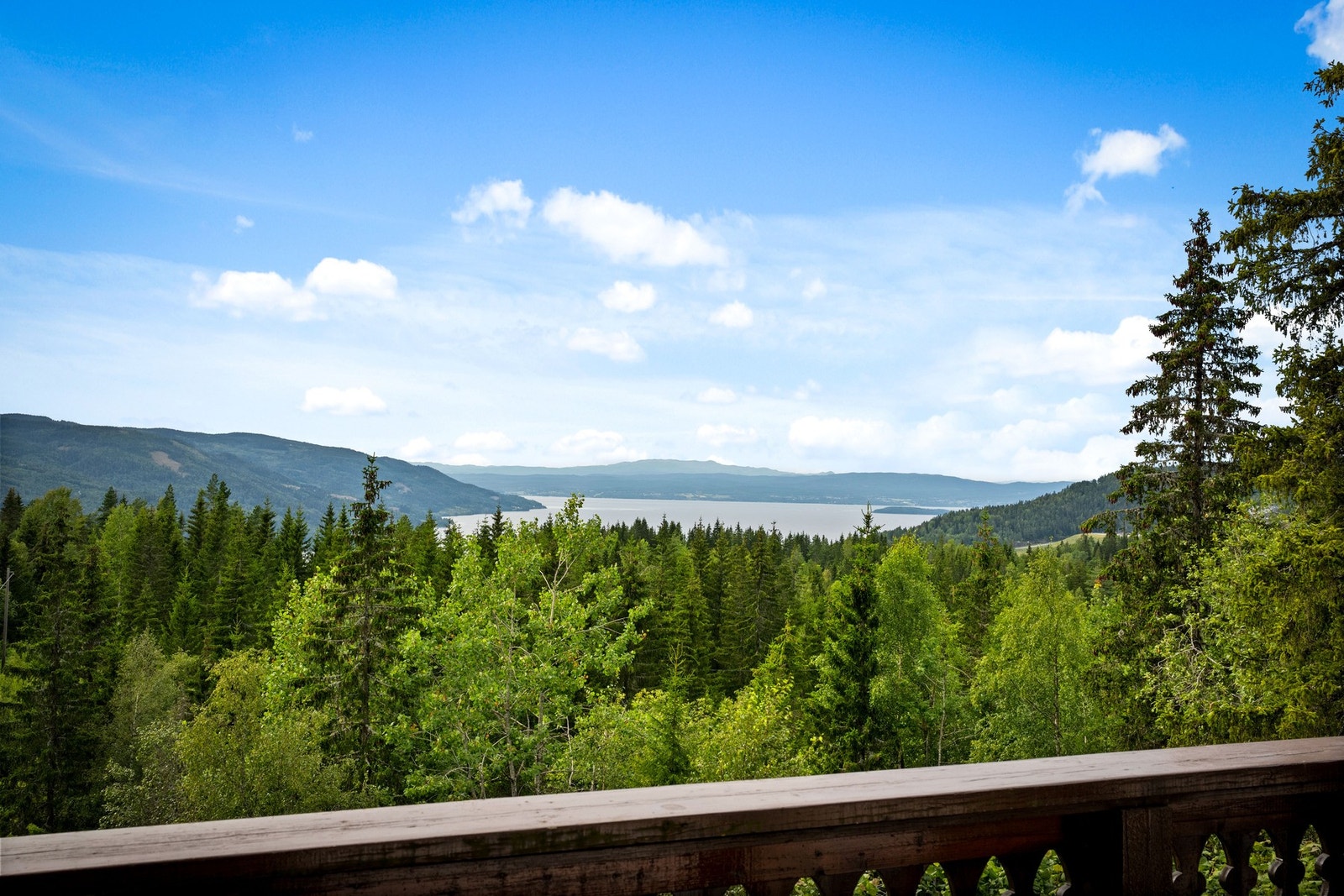 Flott utsikt Galleribilde