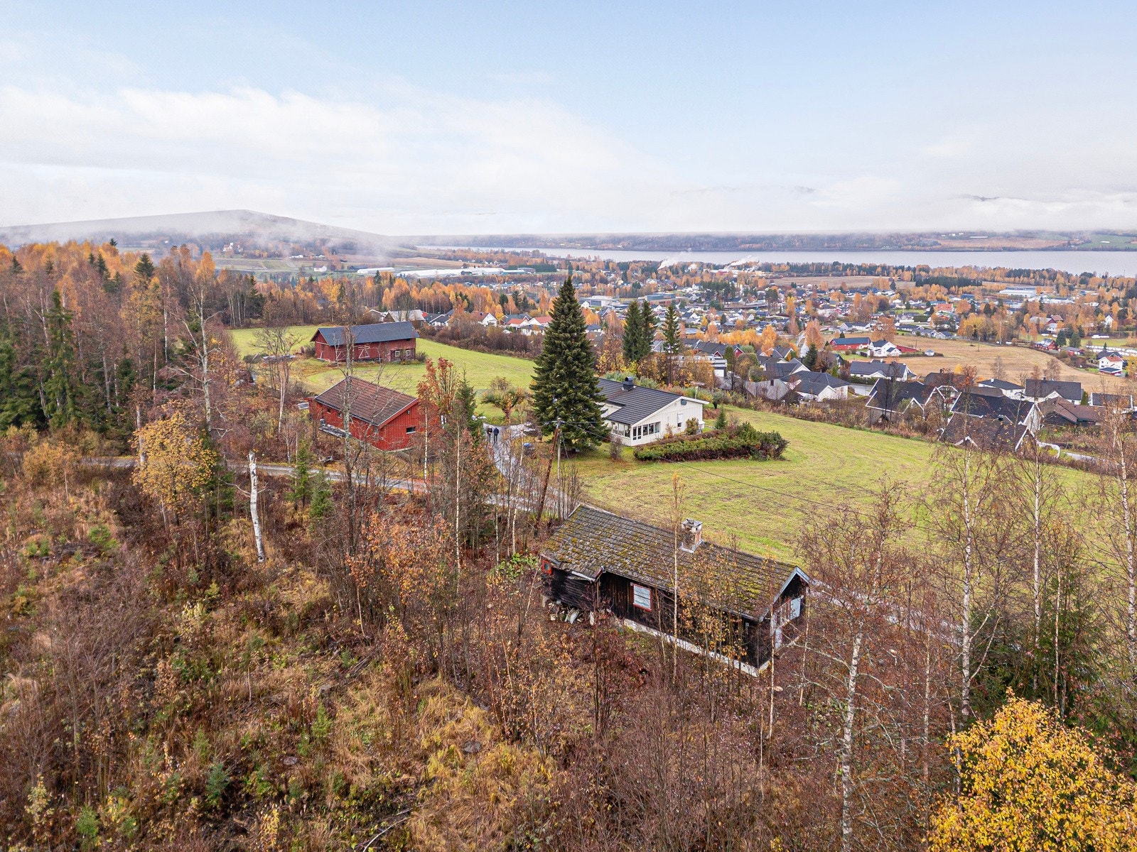 Velkommen på visning! Galleribilde