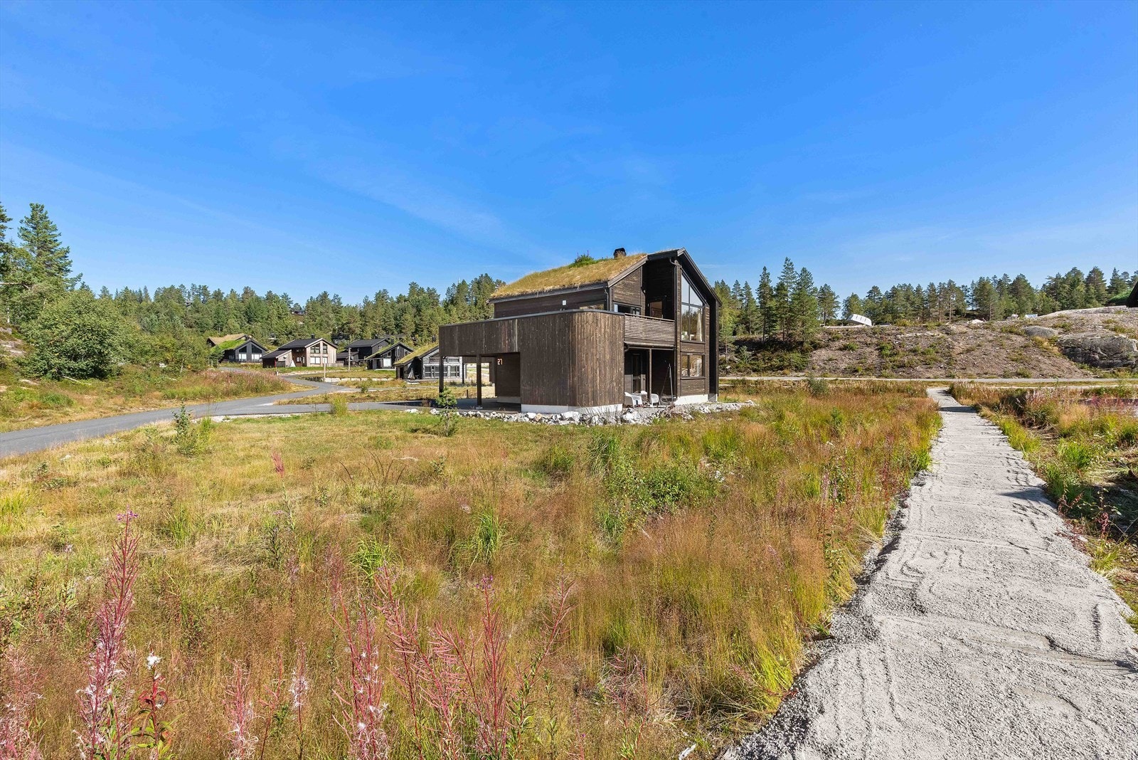 Det er bøttevis av blåbær rett rundt hytten om høsten og multer i turområdene. Galleribilde
