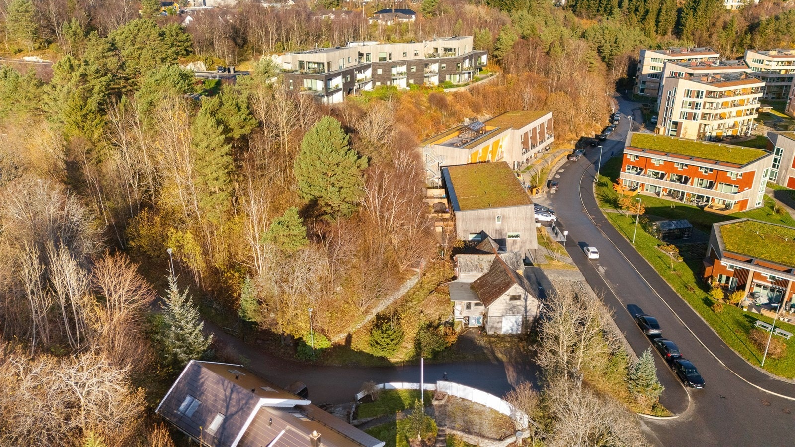 Velkommen til visning! - Husk påmelding Galleribilde