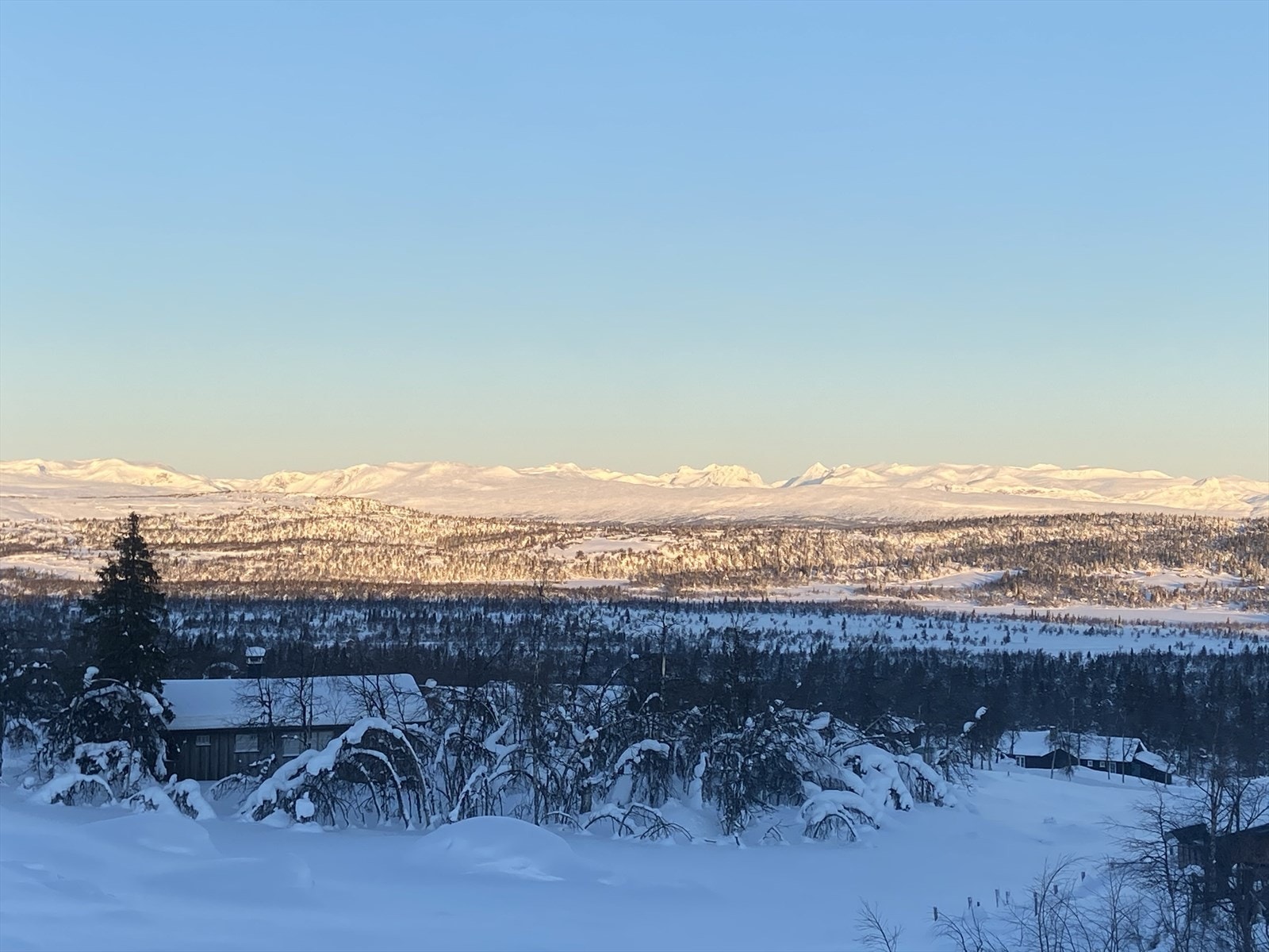 Selgers eget foto Galleribilde