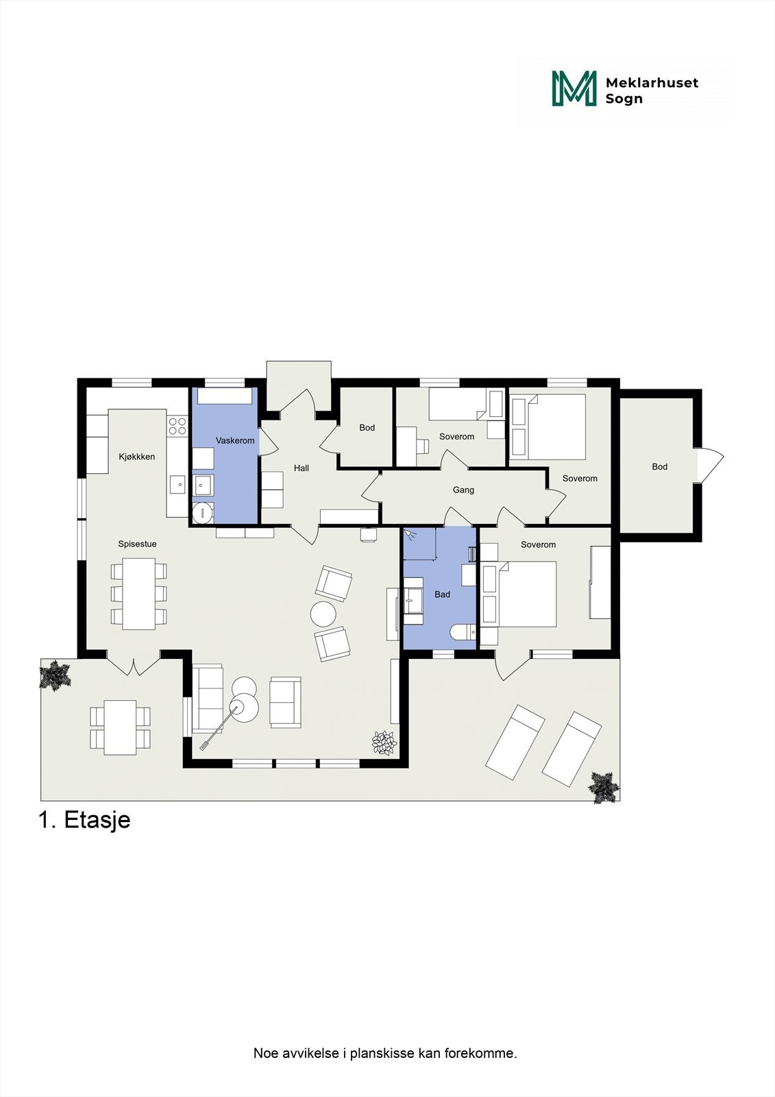 Planteikning 2D Galleribilde