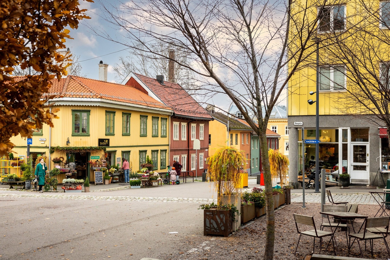 Nærområde. Galleribilde