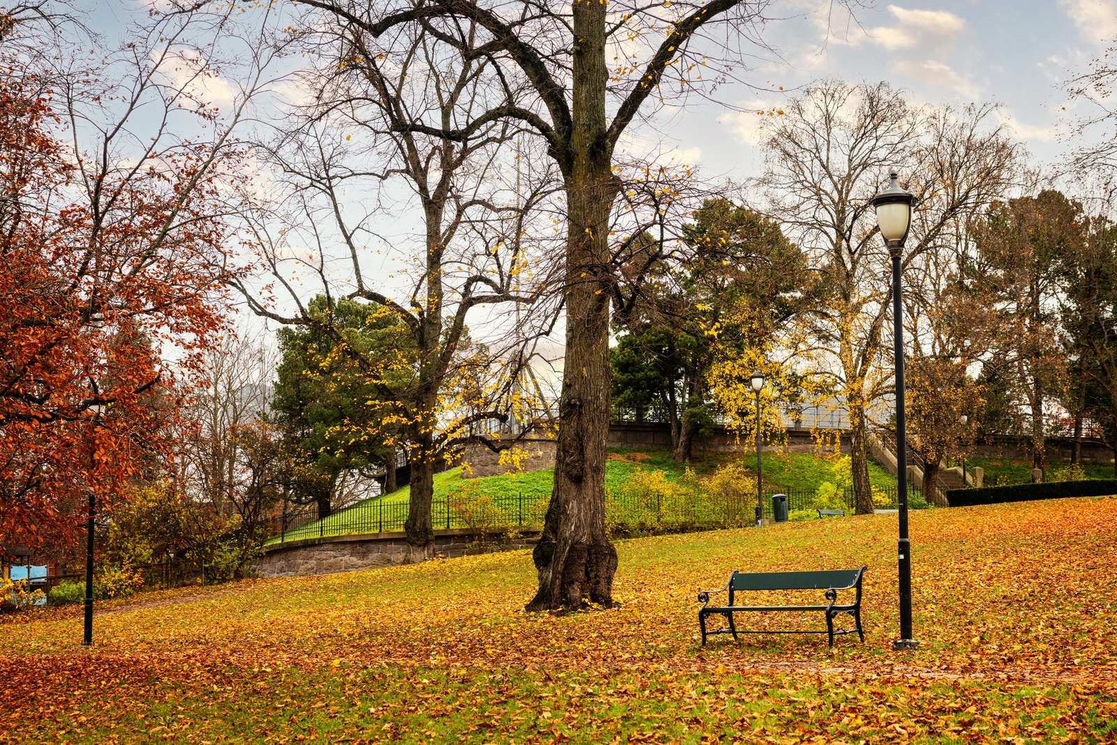 Nærområde. Galleribilde