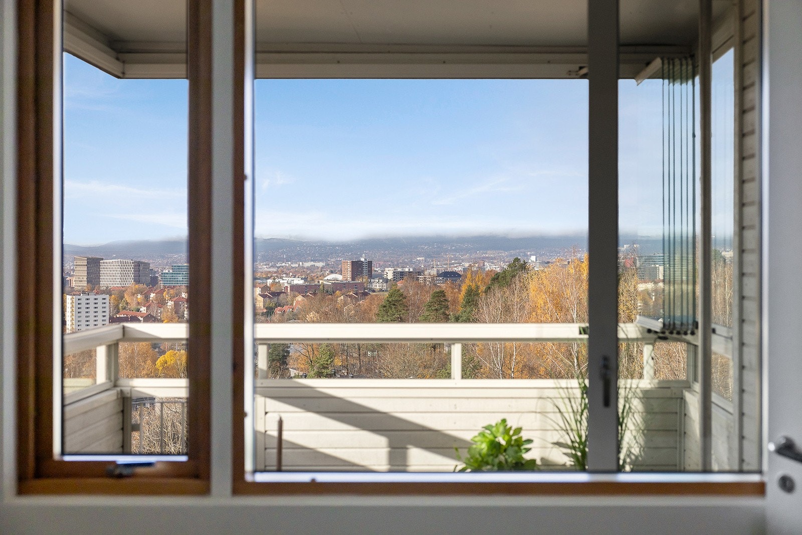 Utsikt Galleribilde