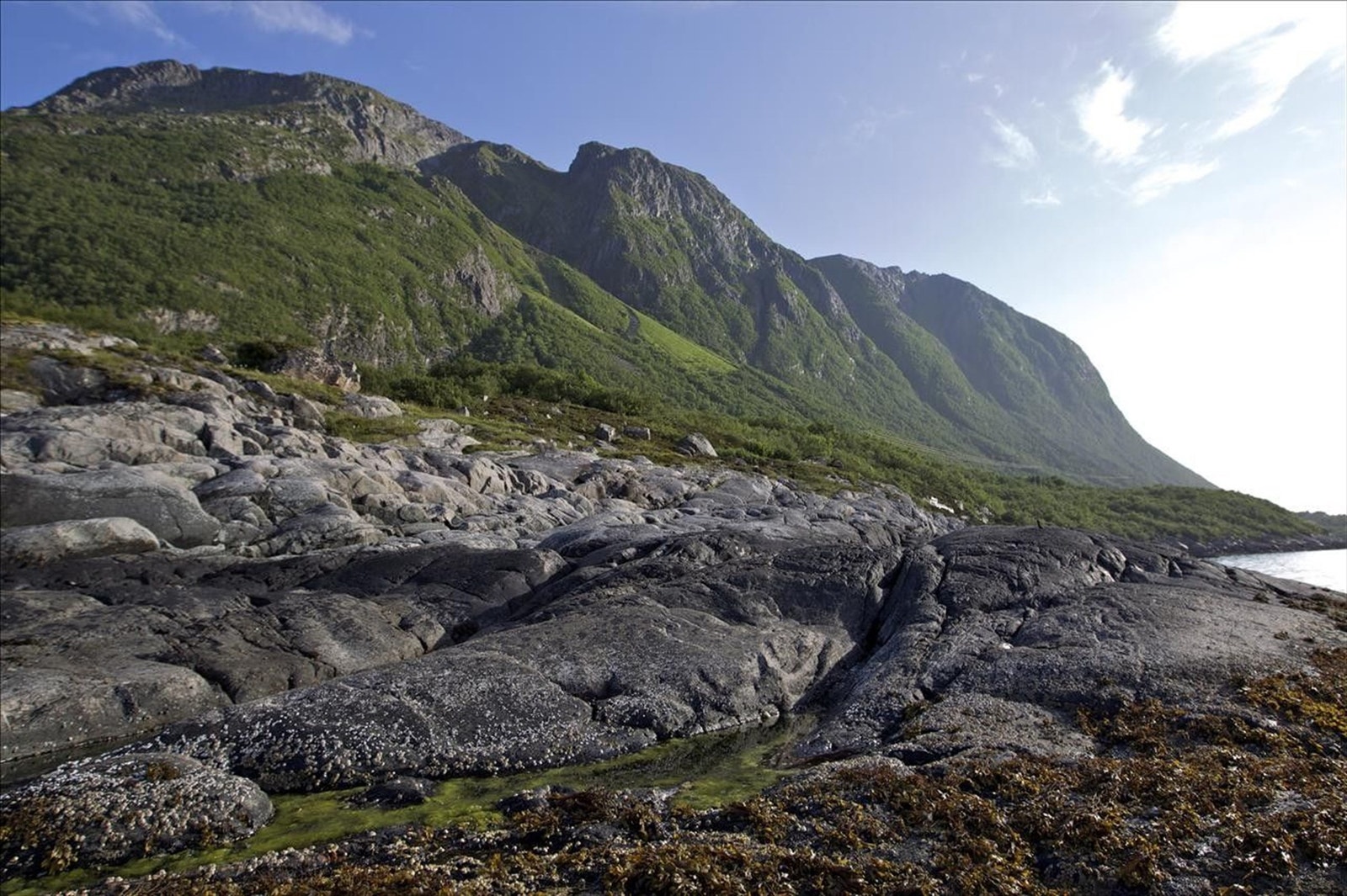 Svaberg rett nedenfor tomteområdet Galleribilde