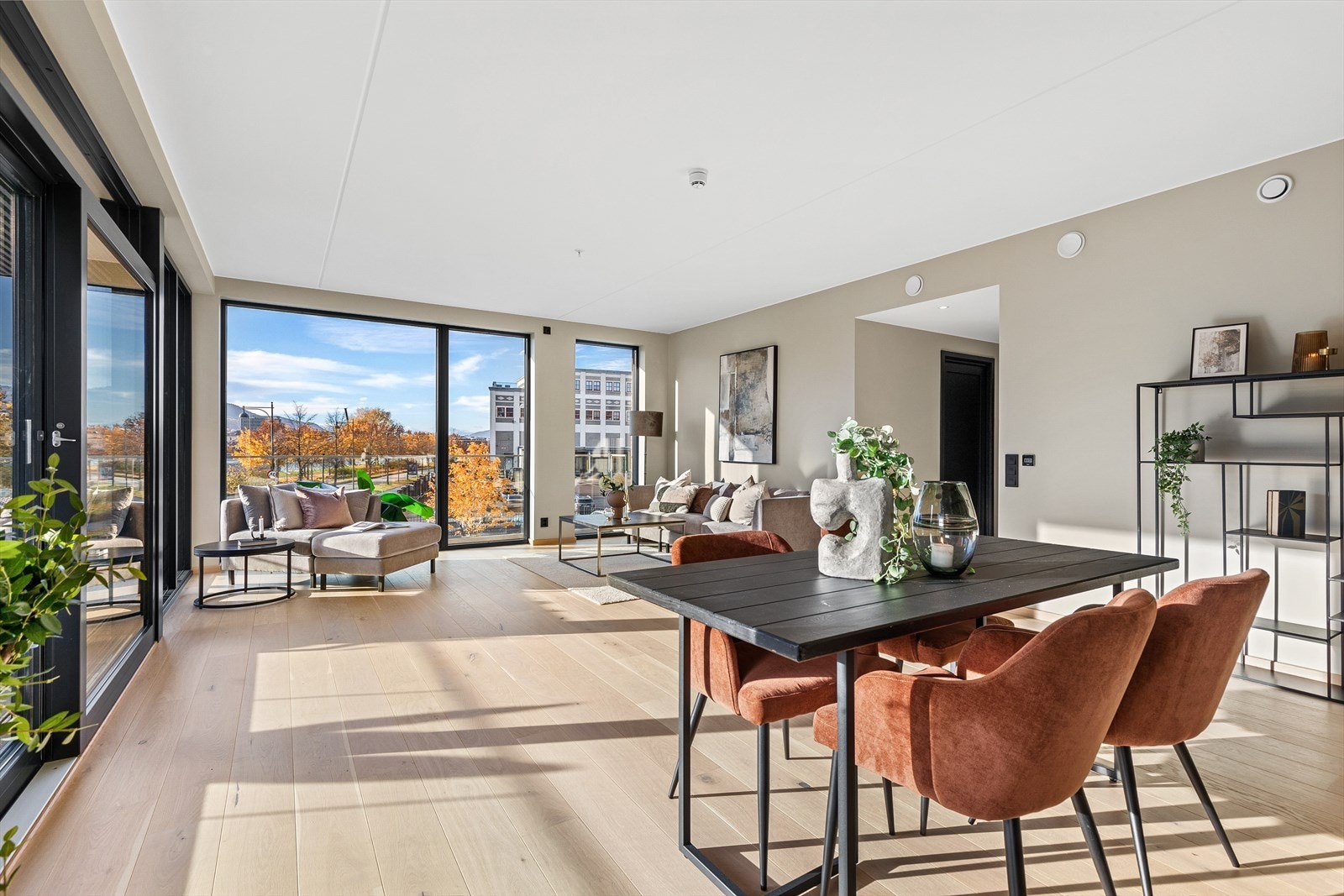 Velkommen til Losjeplassen 8! Galleribilde