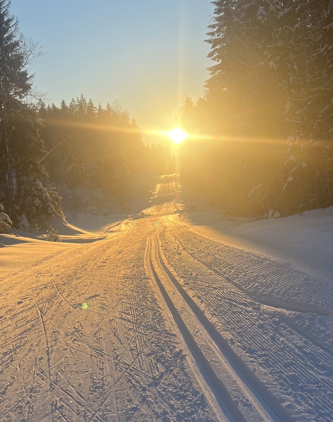 Selgers private bilde. Galleribilde