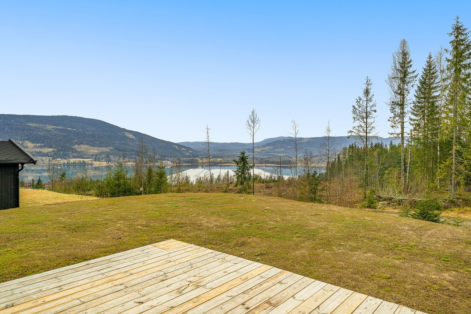 Rikelig med boltreplass for både to- og firbente. Galleribilde