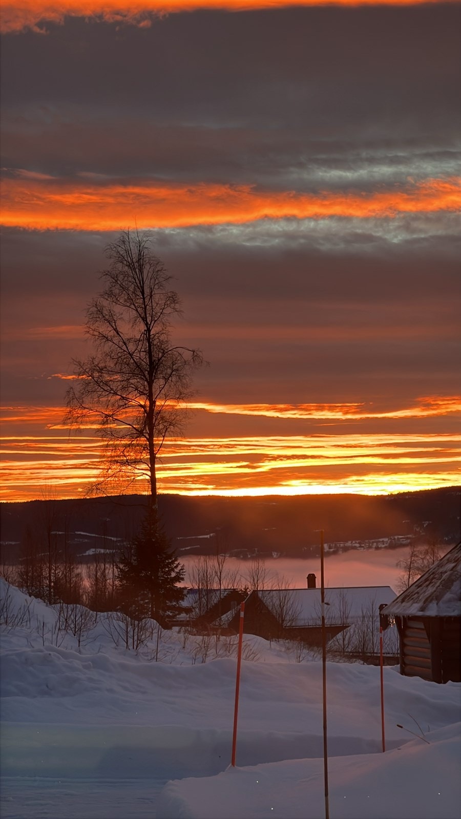 Selgers private bilde. Galleribilde