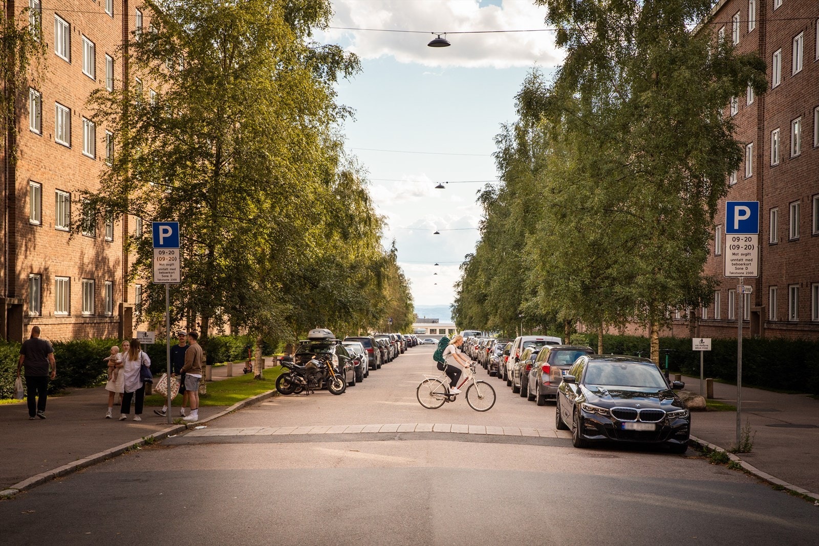 Nærområdet. Galleribilde