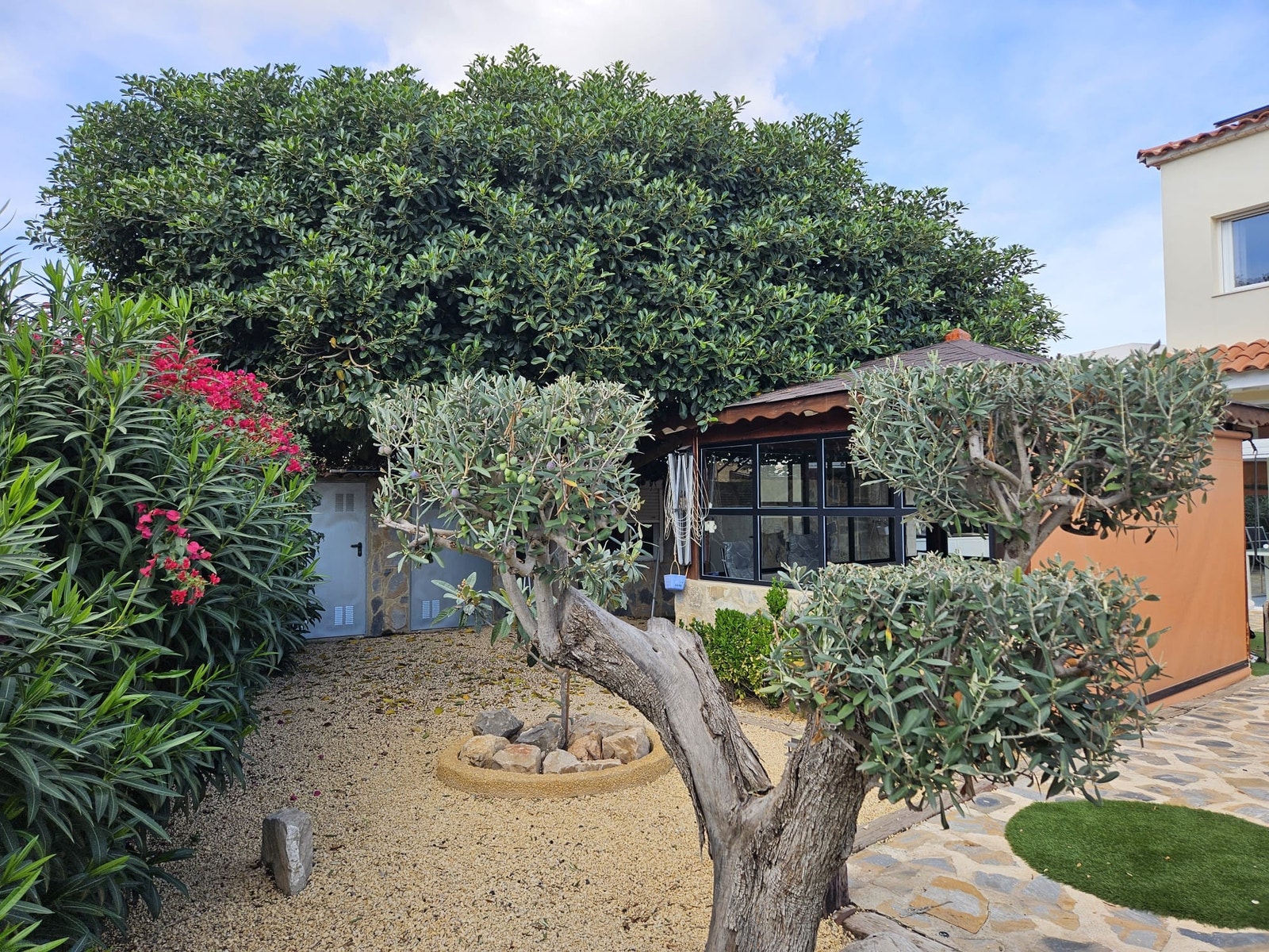 Store flotte gamle planter Galleribilde