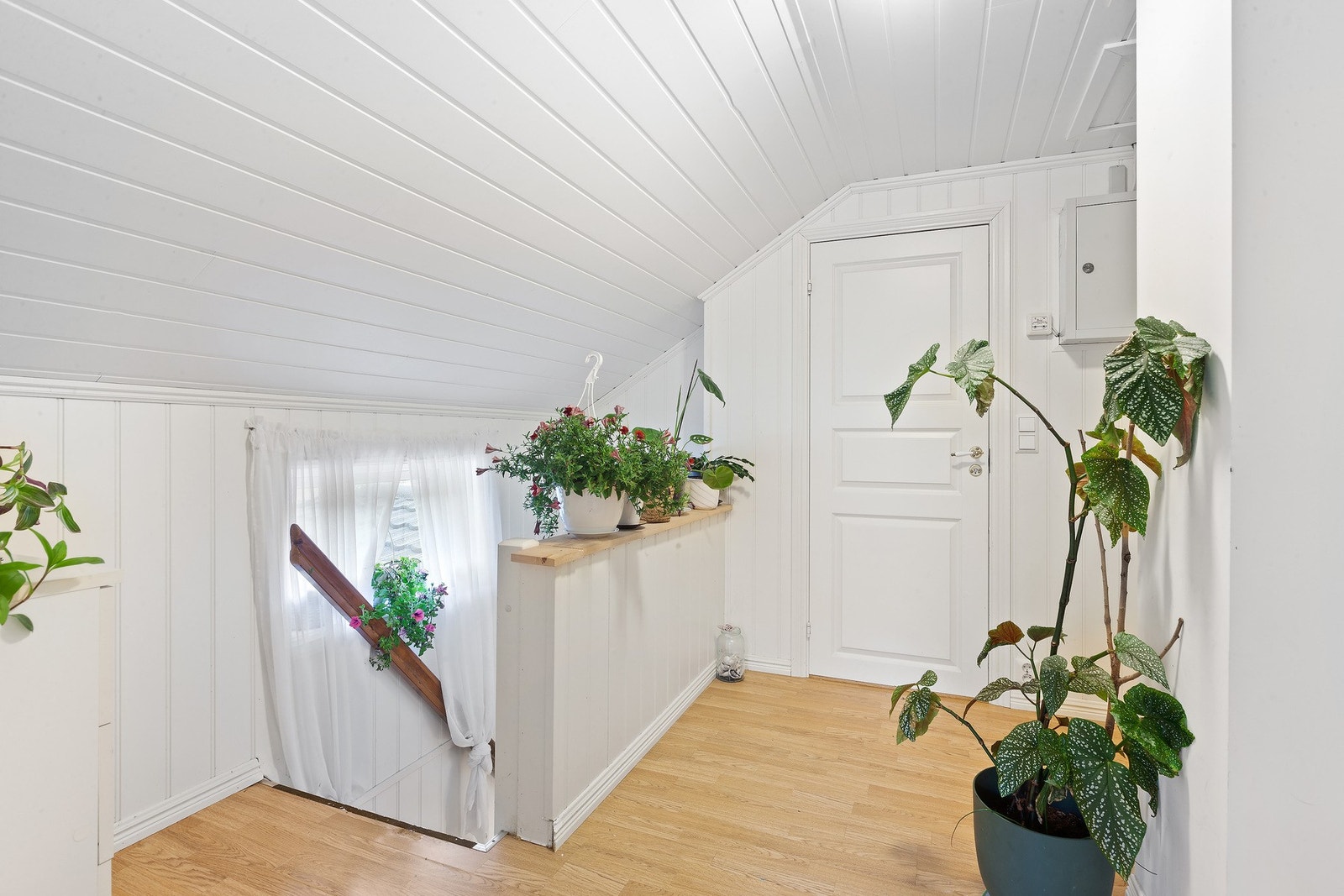 Trappegang. Galleribilde