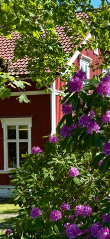 Stemningsbilde fra selger Galleribilde