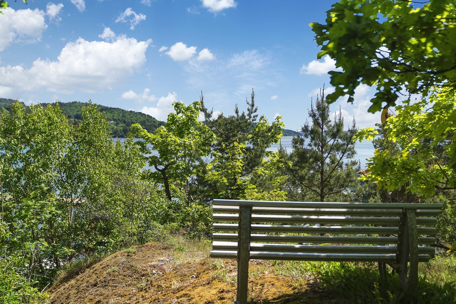 Koselig plass på en kolle Galleribilde