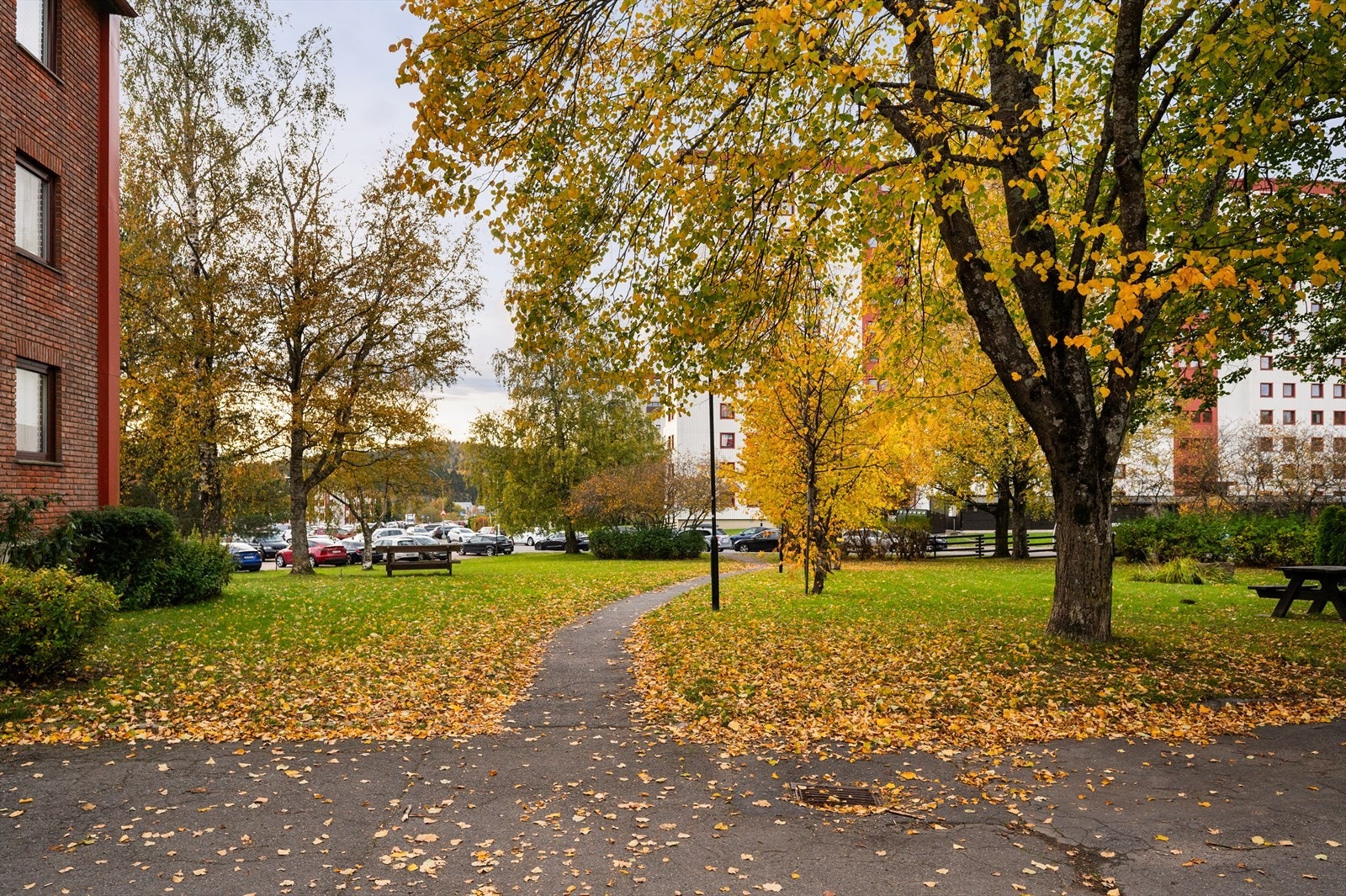 Fellesområdene. Mulighet for parkeringsleie via borettslaget. Tildeling av garasje/p-plass skjer etter ansiennitet/ registreringsdato og må søkes om hos styret. Galleribilde