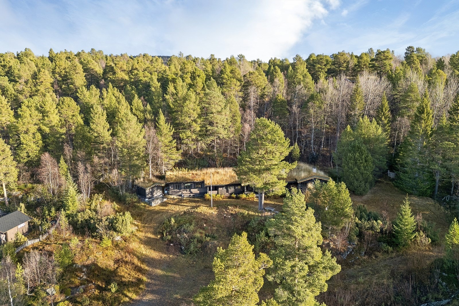 Hytta er omkranset av en tett skog, som gir en skjermet beliggenhet i naturen. Galleribilde