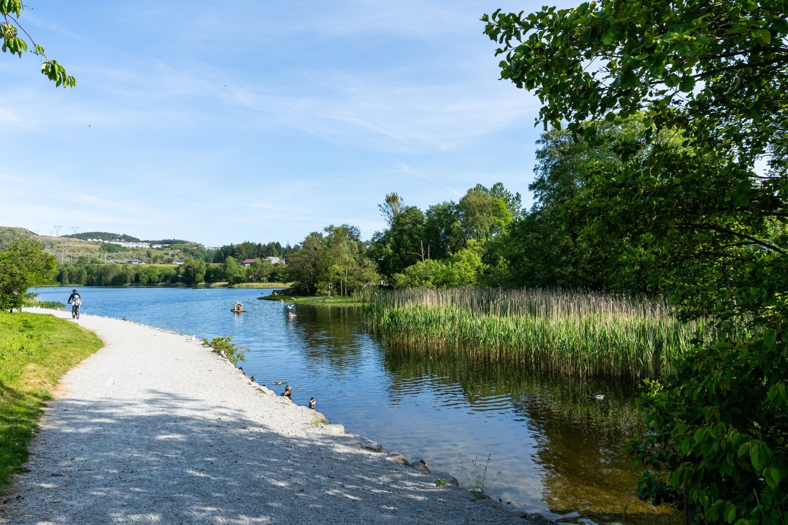 Flotte rekreasjonsmuligheter like ved. Galleribilde
