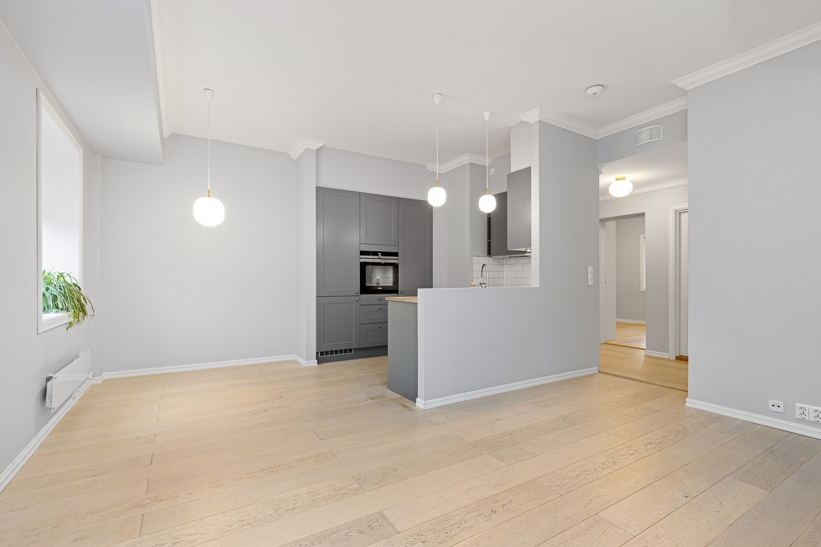 1DX33244 Galleribilde