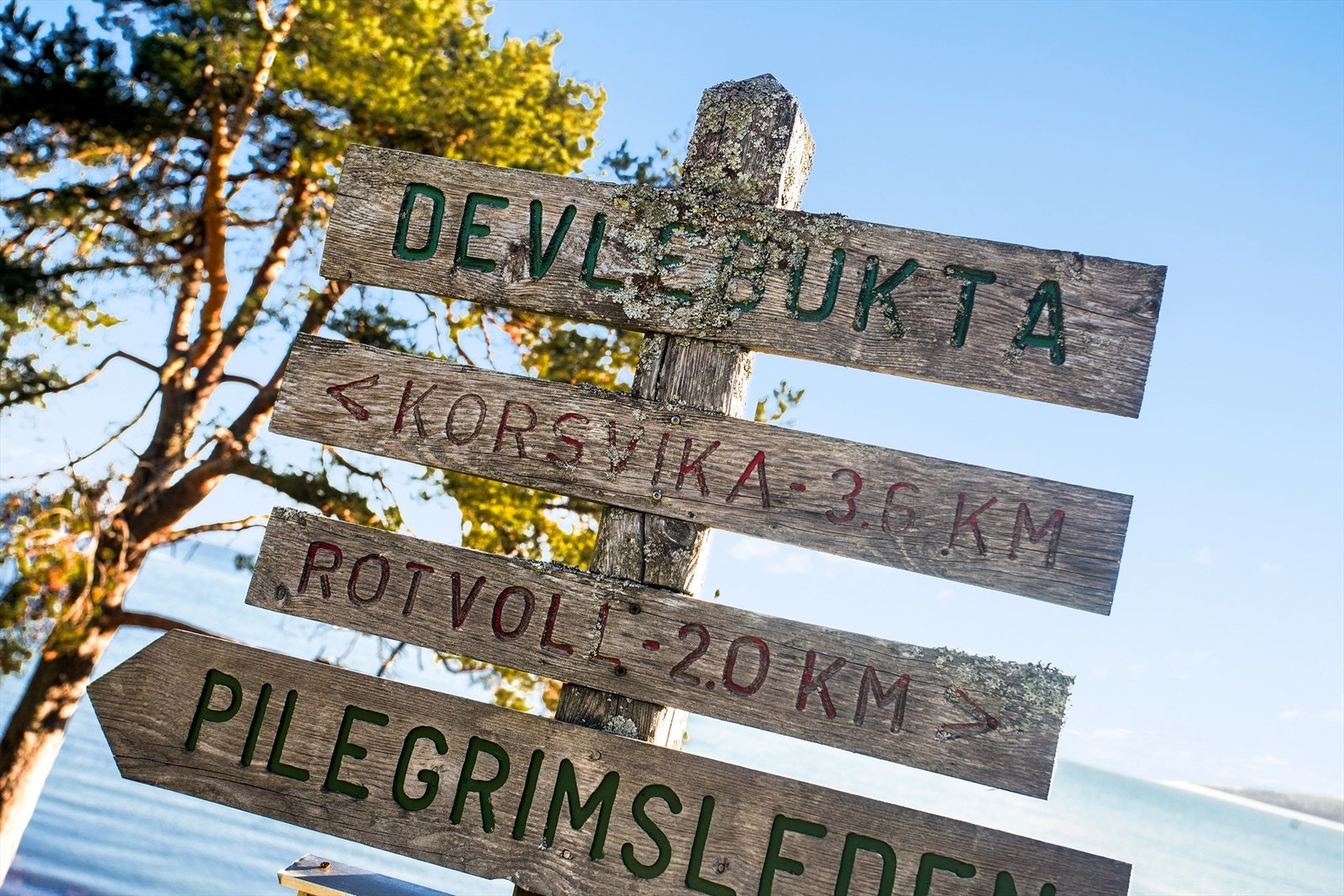 Ladestien. Galleribilde