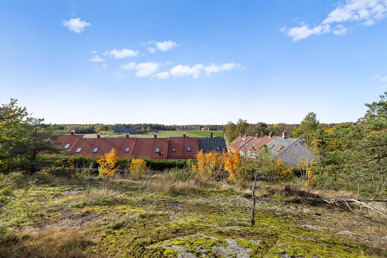 Eiendommen ligger høyt og fritt og vil gi dere en flott utsikt og naturtomt Galleribilde