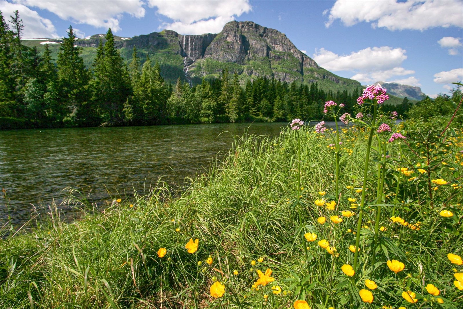 Nærområdet -For den turglade er det flere ski/sykkelløyper, alpinanlegg, fiskevann og mange turmuligheter rett ved. Galleribilde