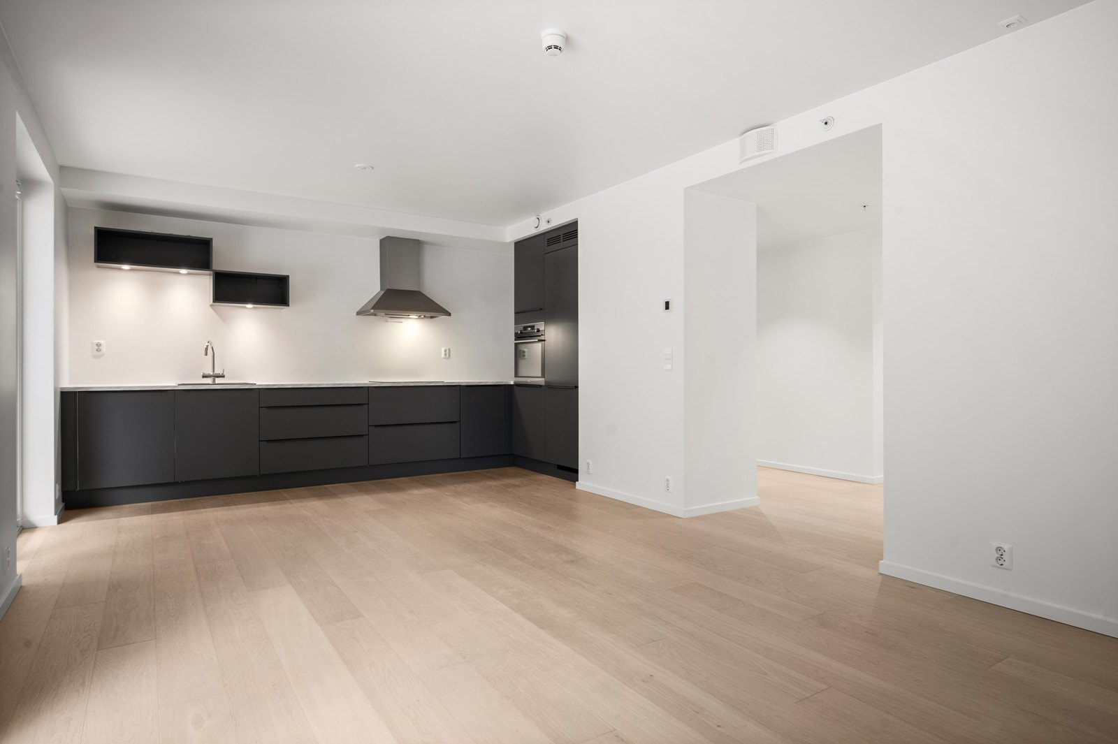 Integrert komfyr, platetopp, kjøl/fryseskap og oppvaskmaskin Galleribilde