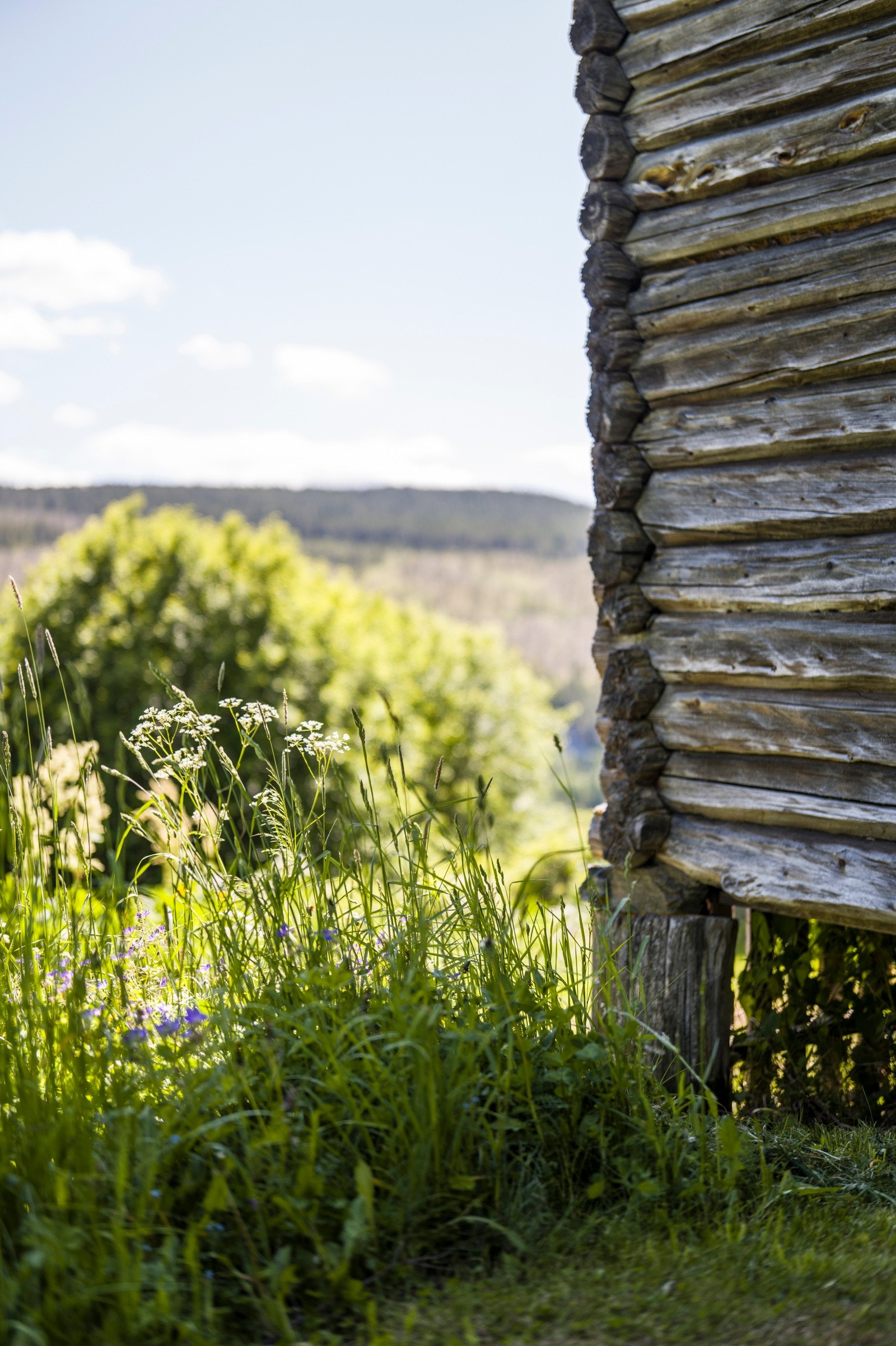 Det er lett å la seg begeistre av Skåbu med sin naturnære beliggenhet. Galleribilde
