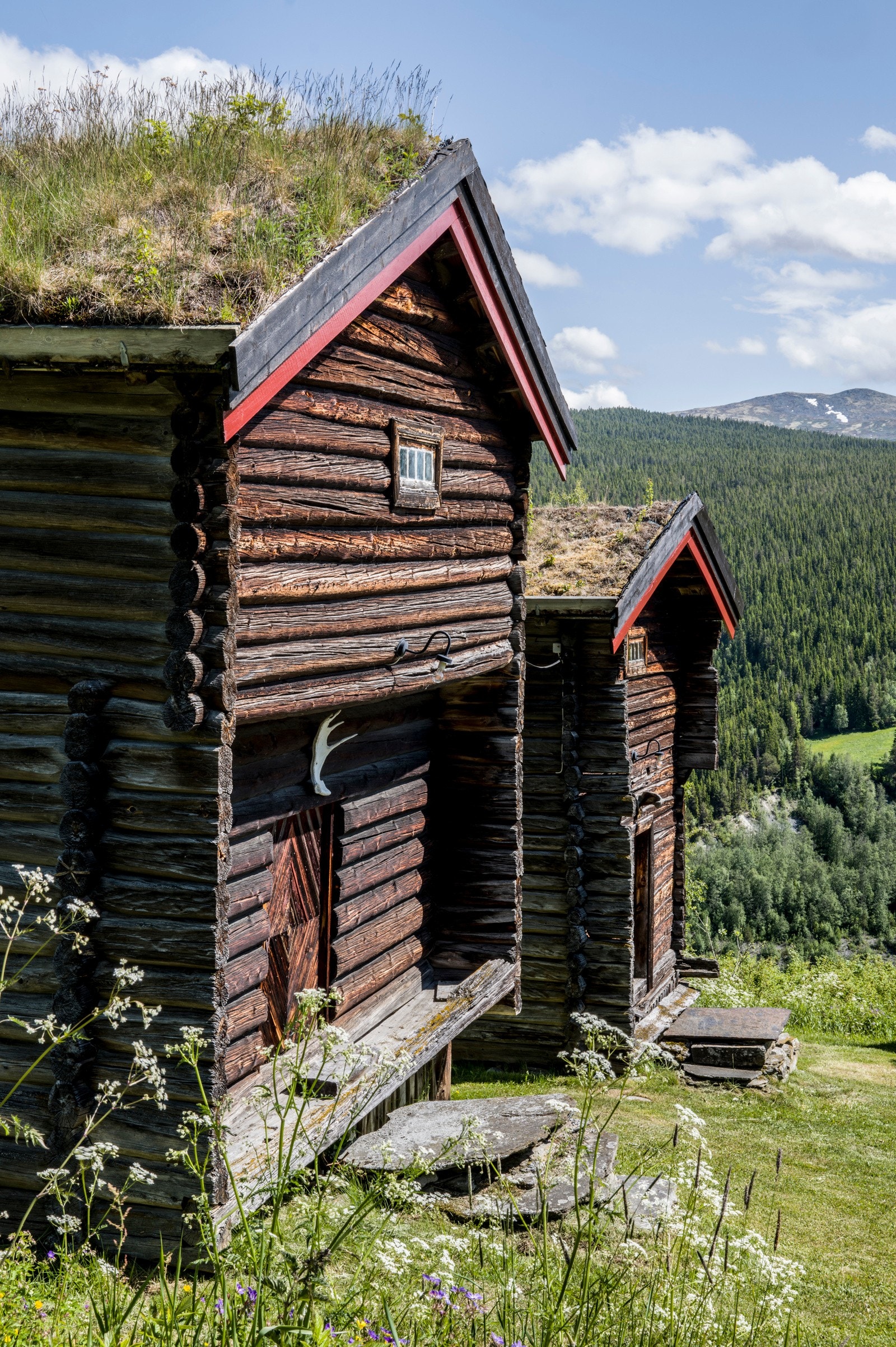 To flotte, tradisjonsrike stabbur pryder tunet. Galleribilde