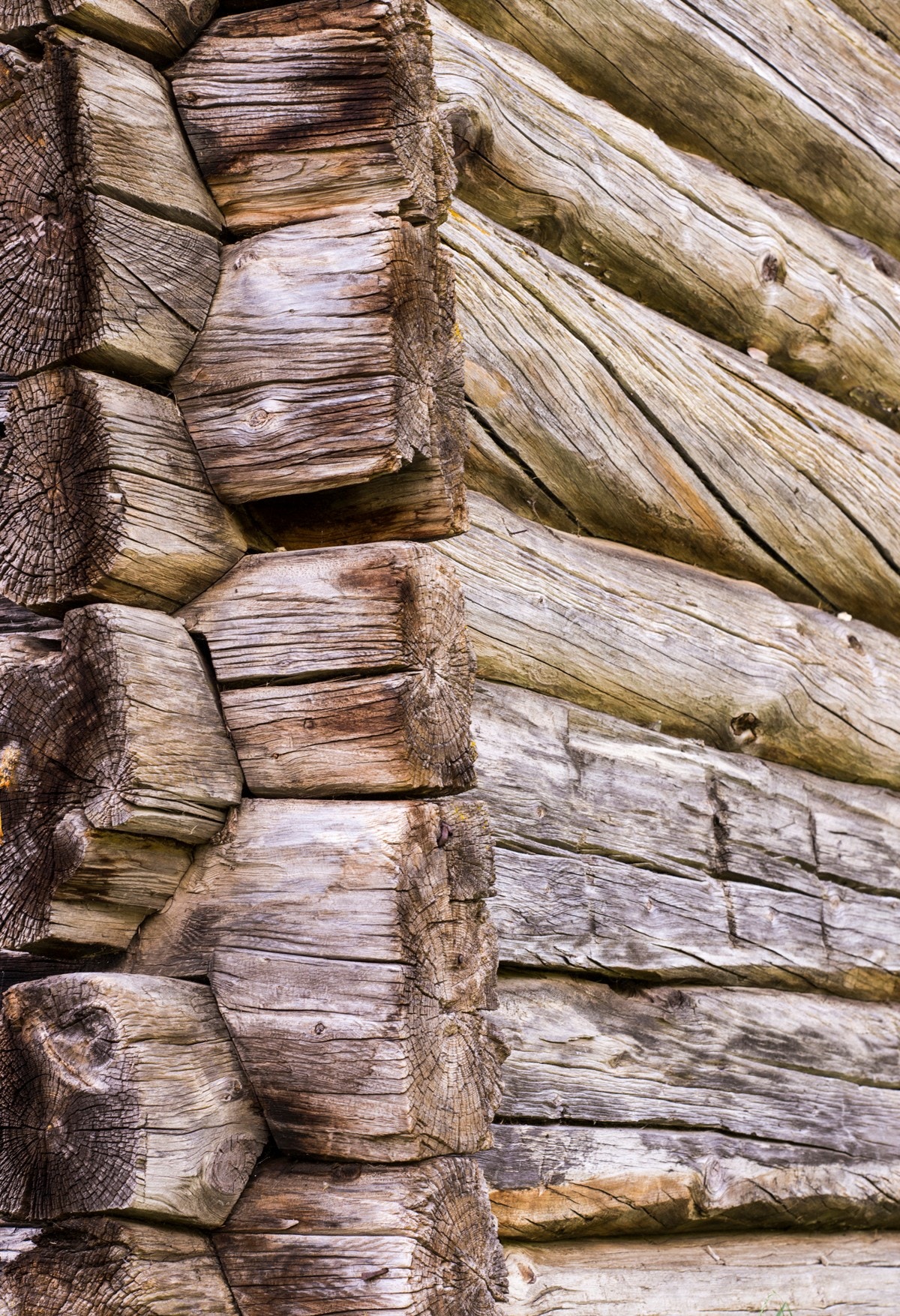 Detalj. Galleribilde