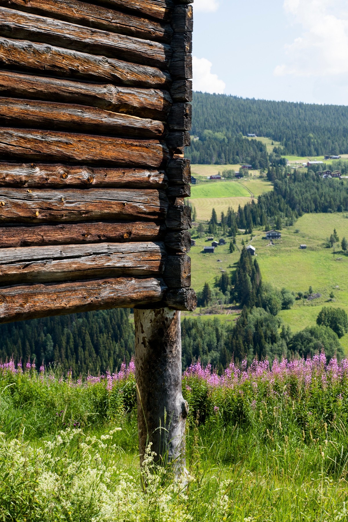 Detalj. Galleribilde