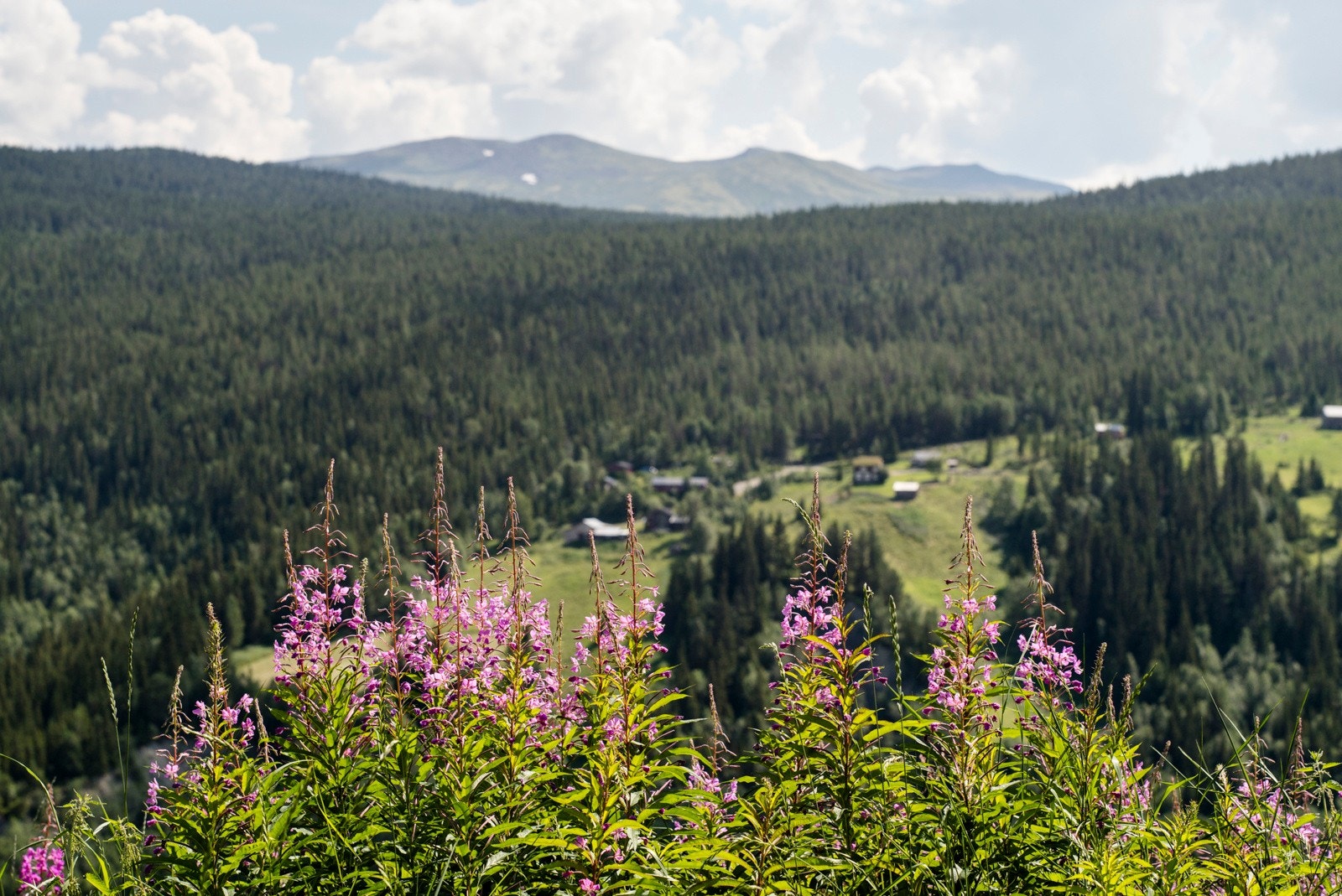 Panoramautsikt og solrik beliggenhet i Skåbu. Galleribilde