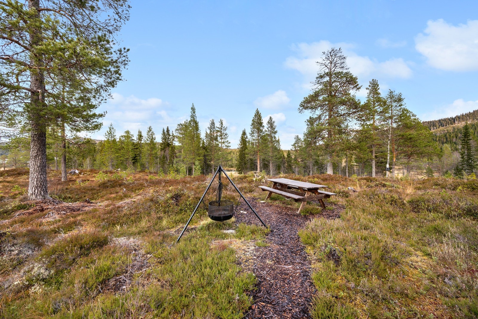 Hyggelig bålplass Galleribilde