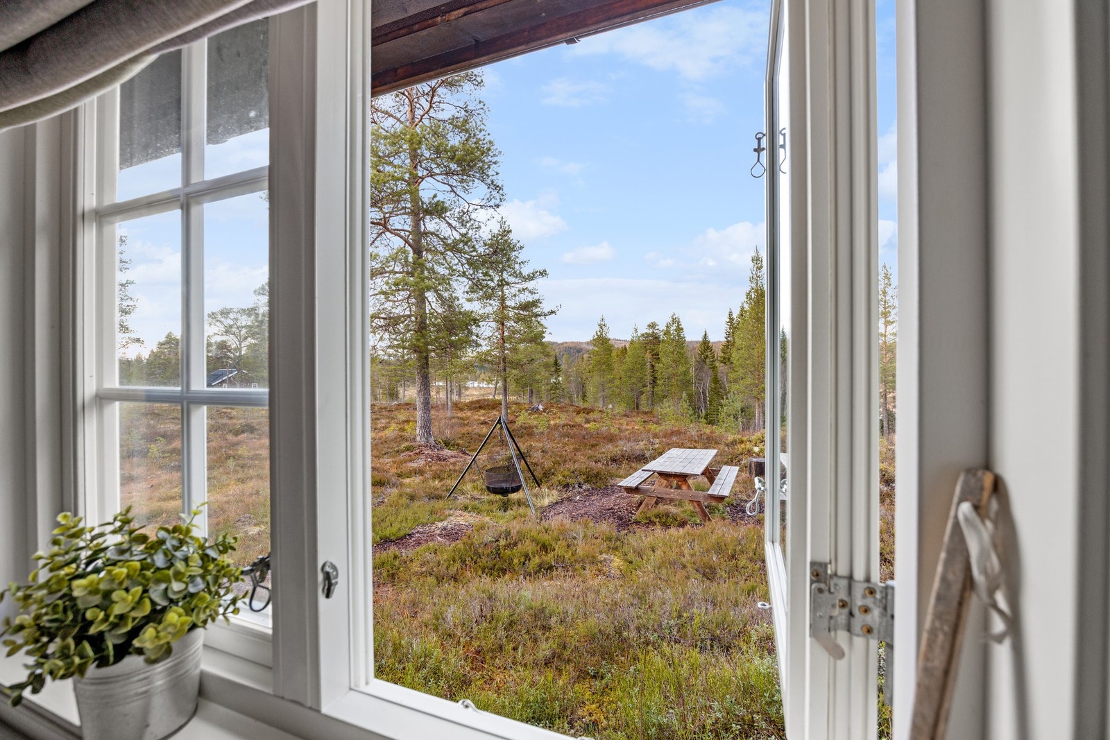 Hyggelig utsikt over terrenget! Galleribilde