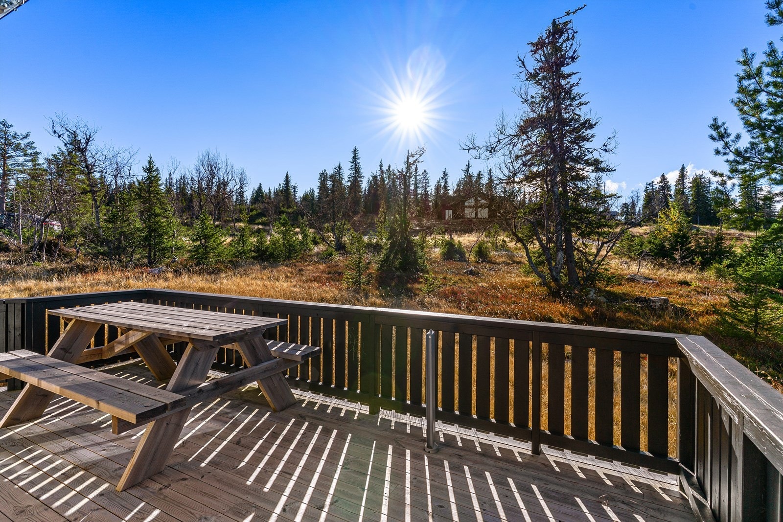 Solrik og lun terrasse rundt hytta! Galleribilde