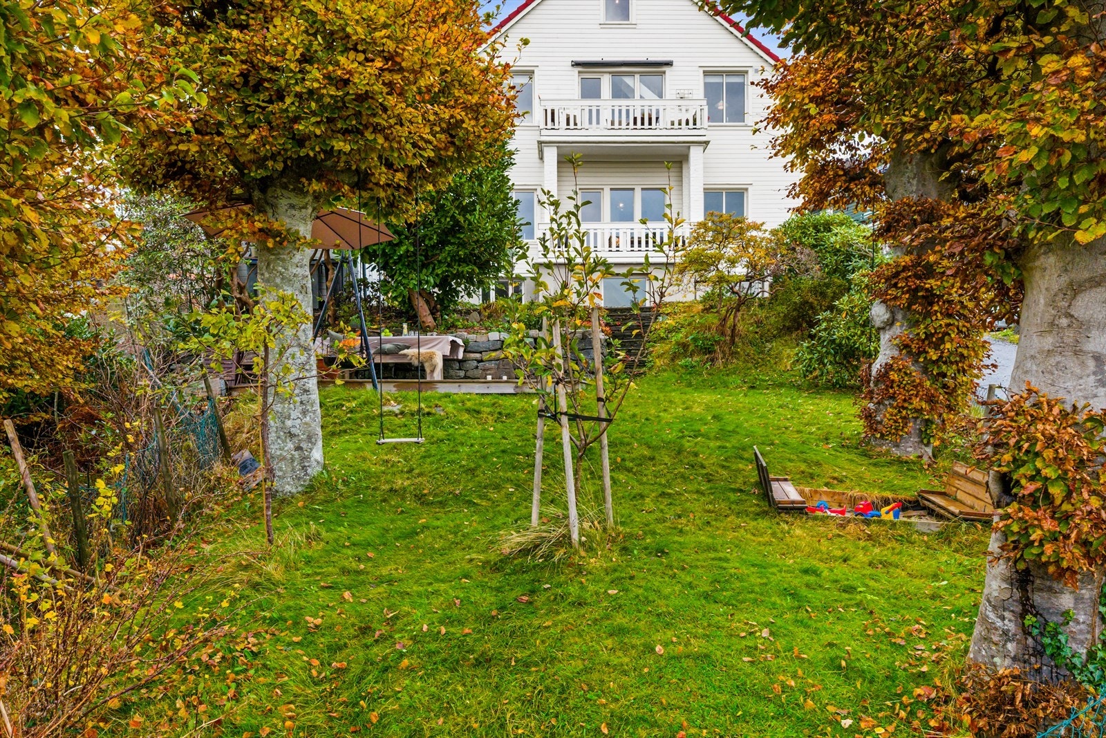 Fin og skjermet felleshage. Galleribilde