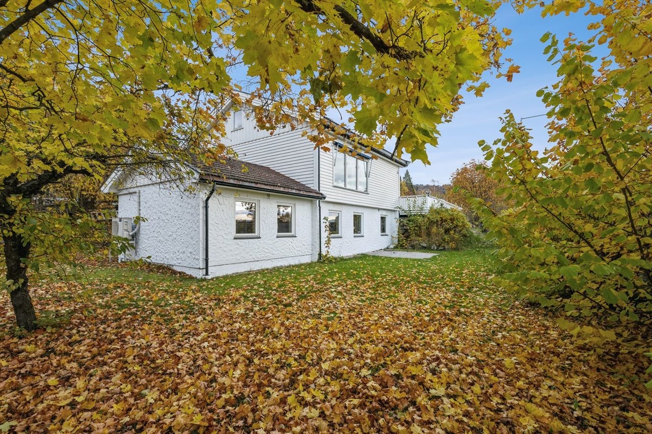 Hagen er pent opparbeidet med plen og beplantning som gir en usjenert følelse. Galleribilde