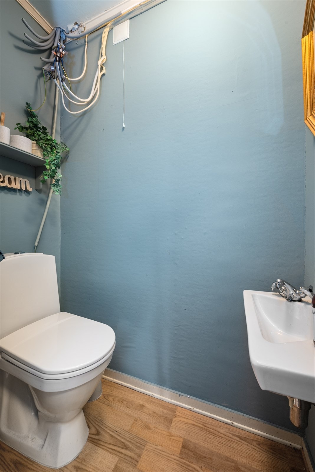 Toalett Galleribilde