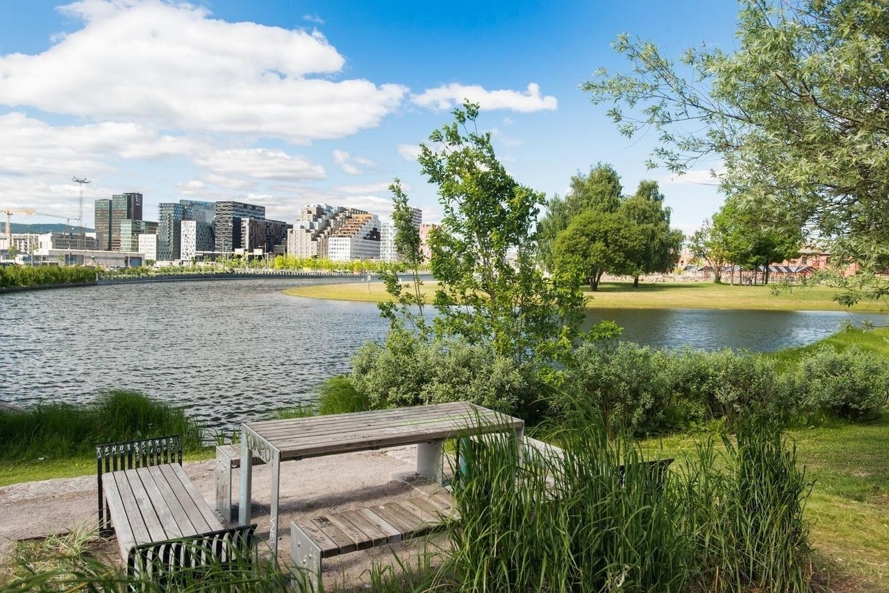 Leiligheten har en veldig sentral beliggenhet med gangavstand til Middelalderparken, Bjørvika og Sørenga Galleribilde