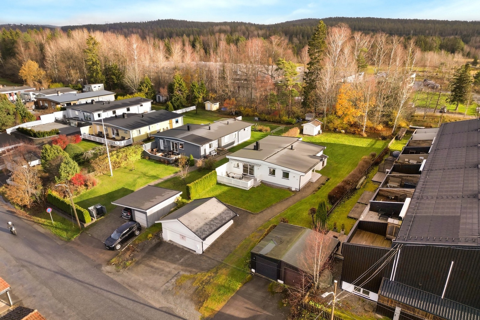 Velkommen til en hyggelig visning! Galleribilde