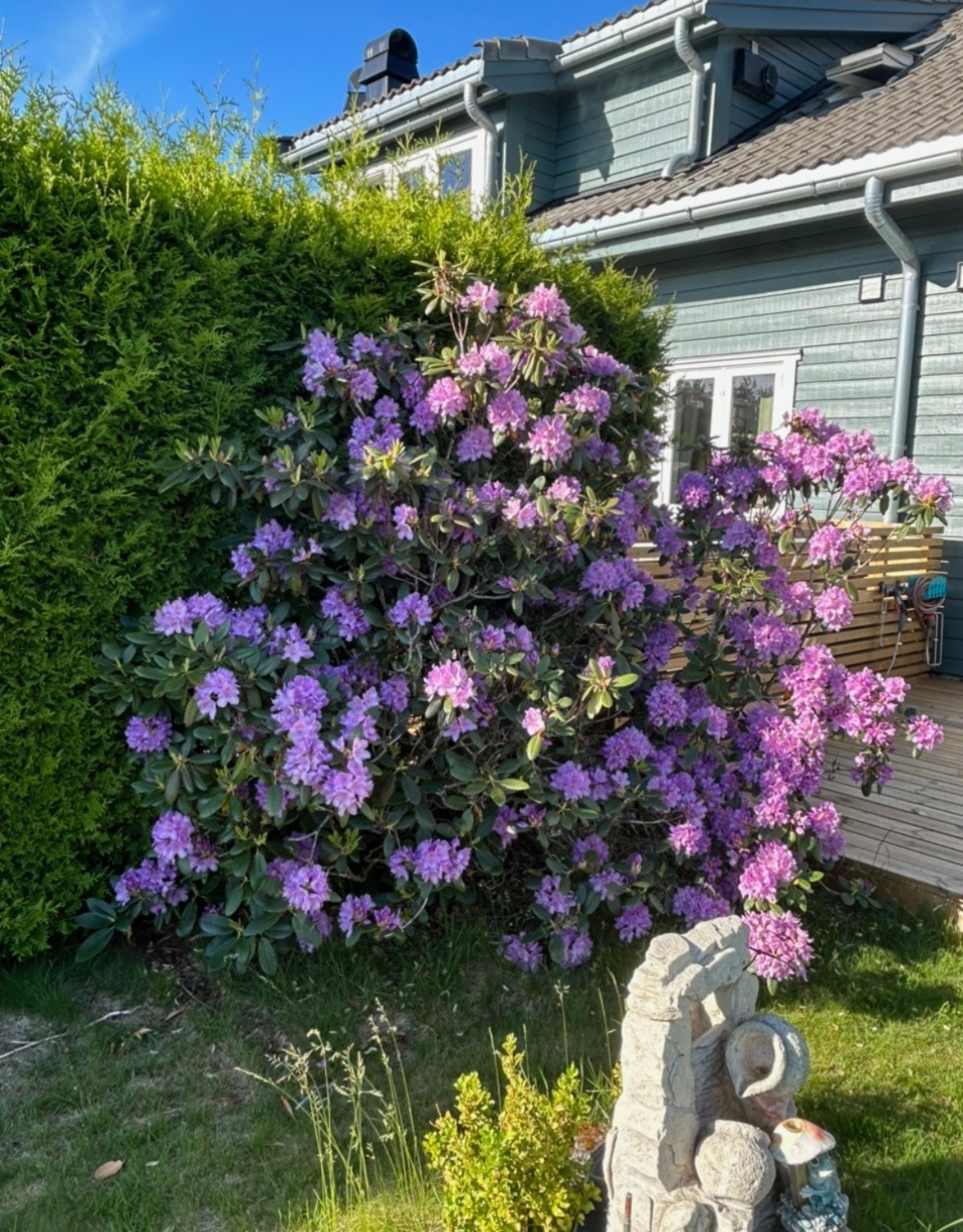 Fra selgers private arkiv Galleribilde