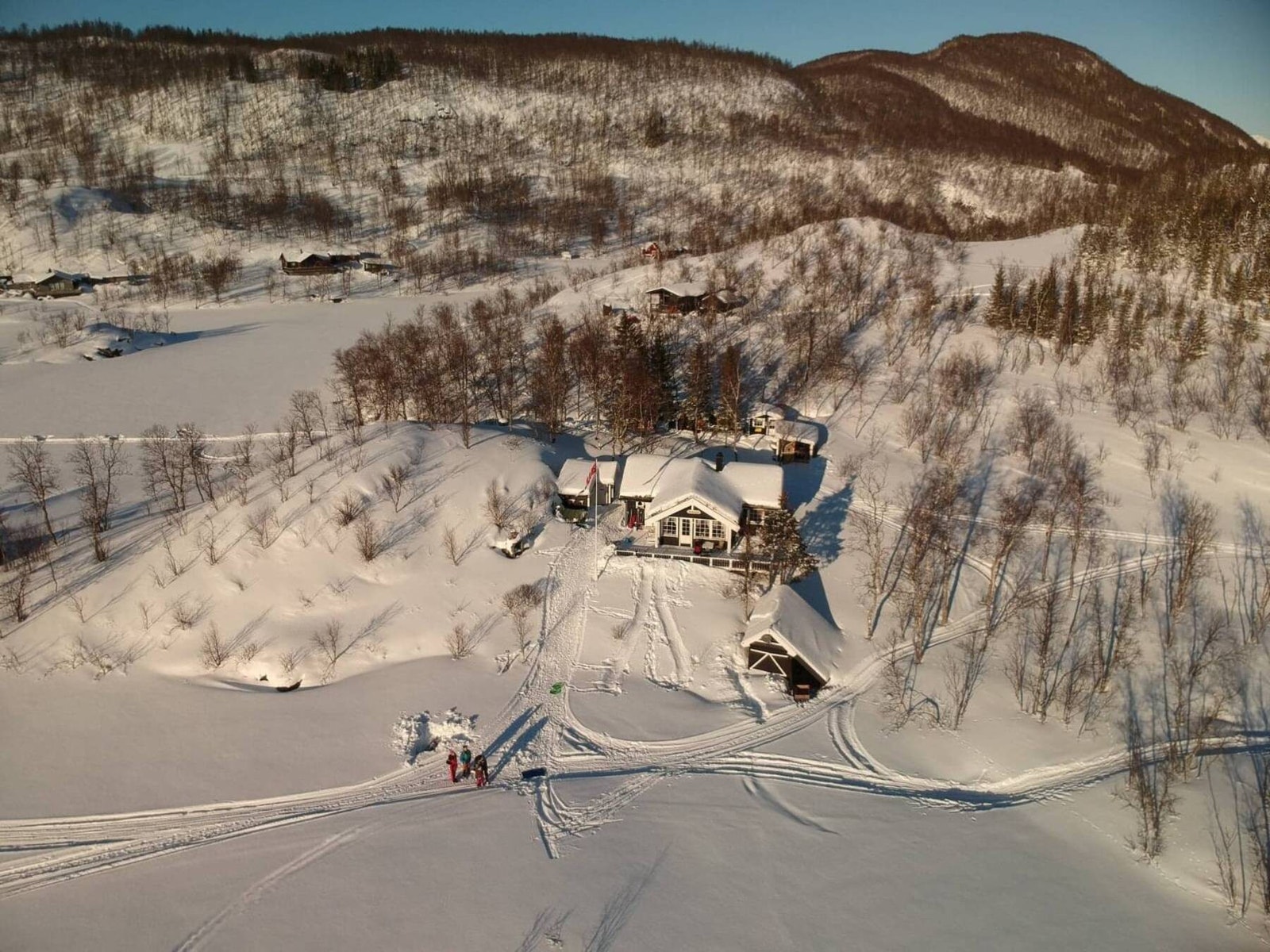 Selgers egne bilder Galleribilde