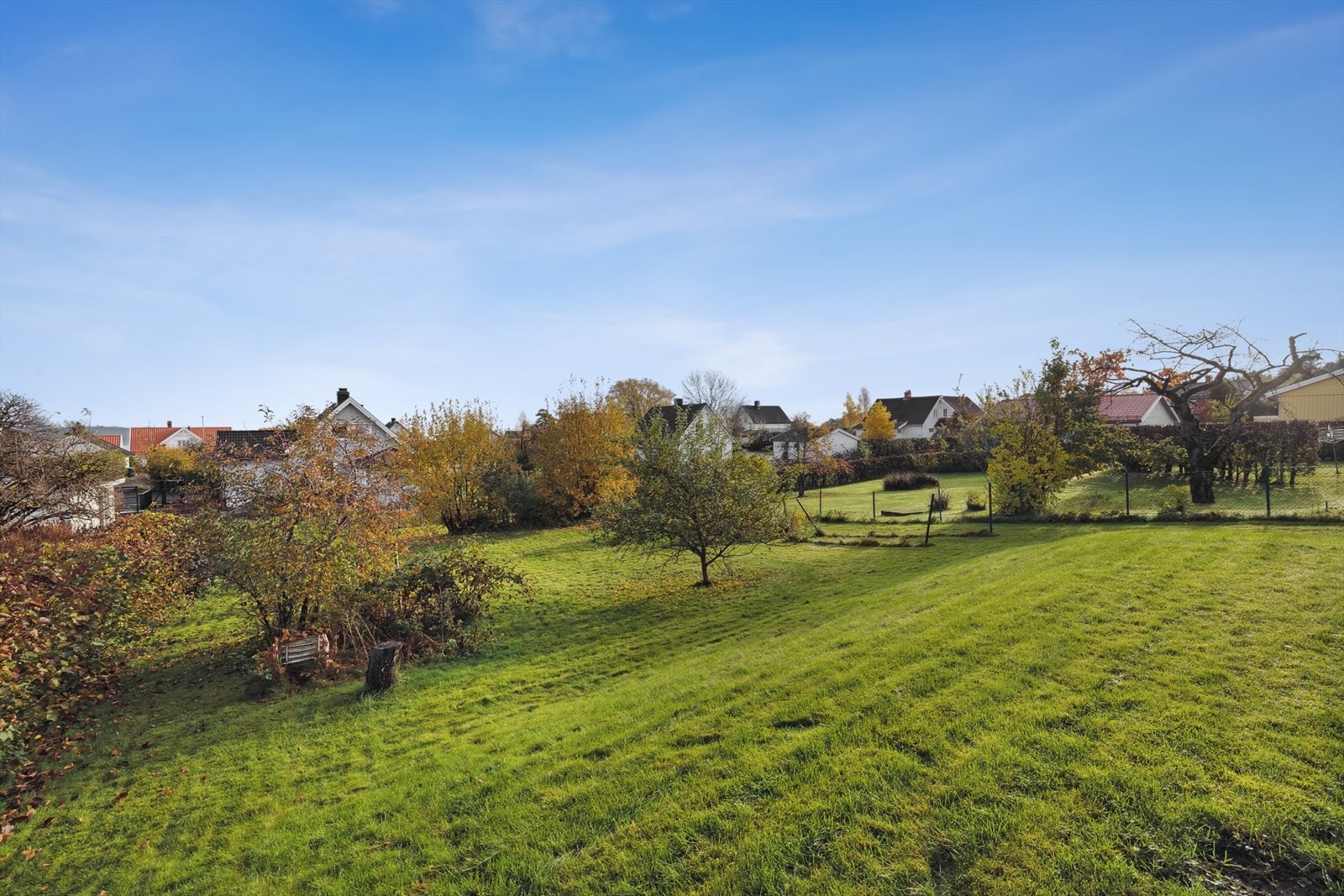 Flere_bilder Galleribilde