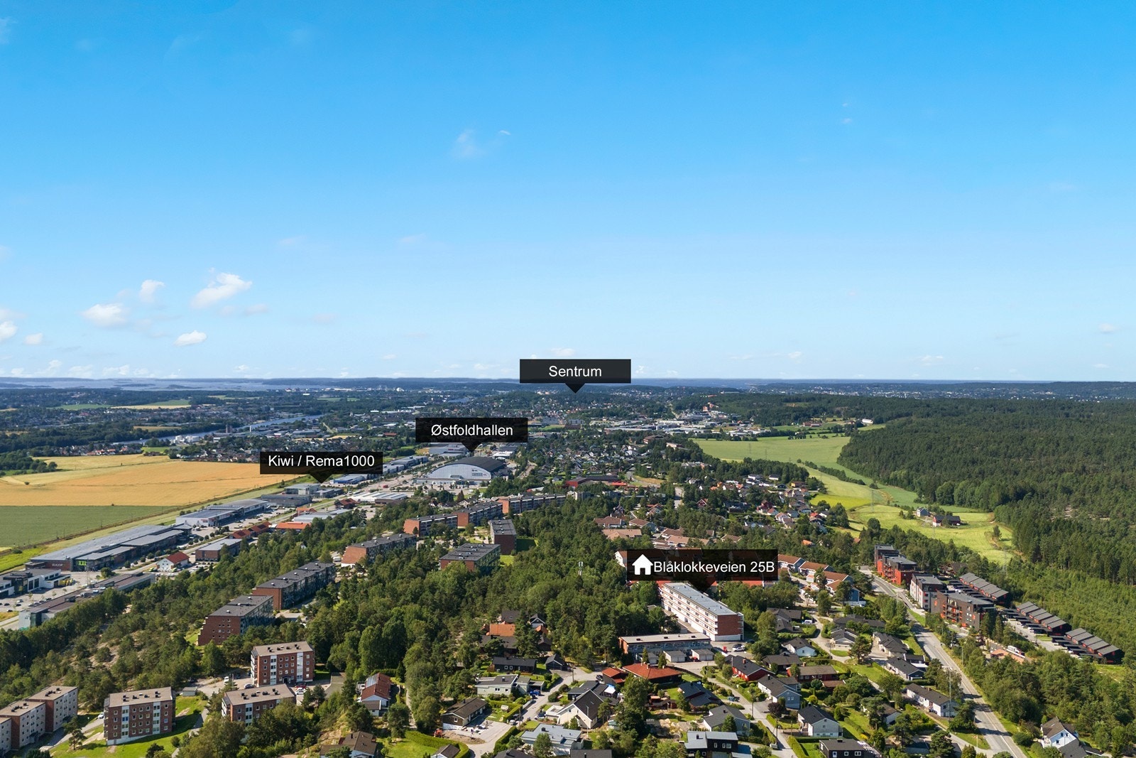 Området Galleribilde