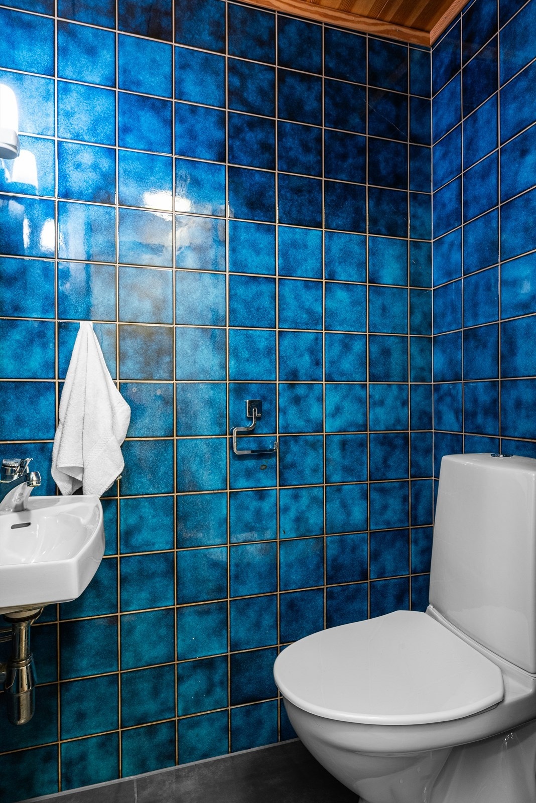 Toalett Galleribilde